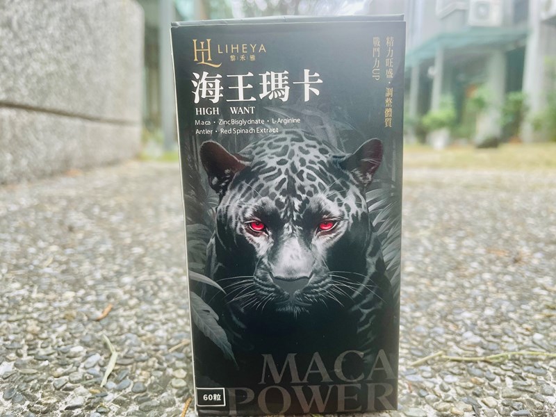 試用